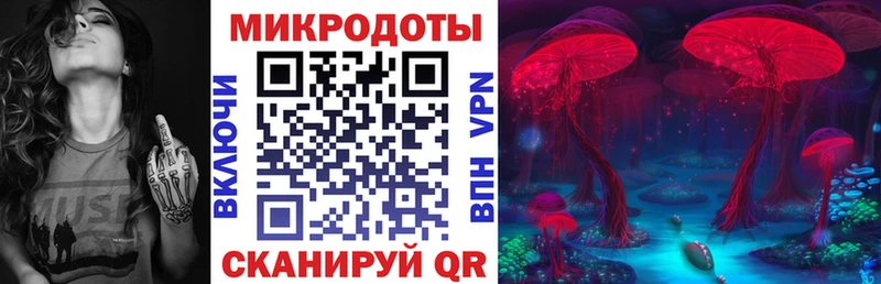 Галлюциногенные грибы MAGIC MUSHROOMS  закладки  Вологда 
